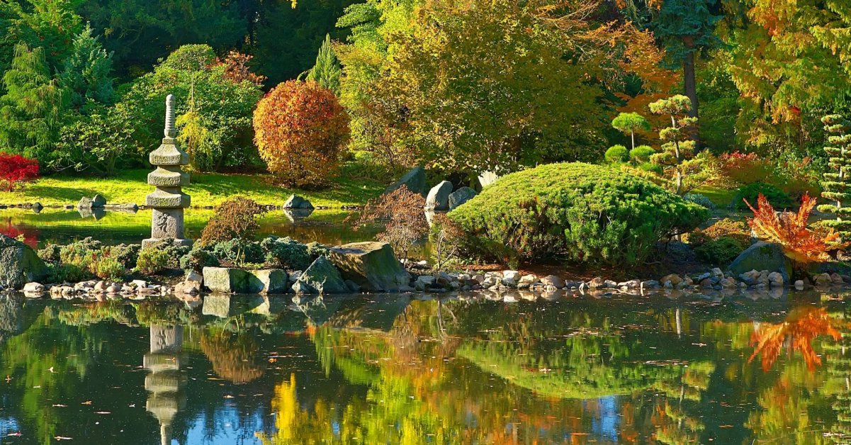 Сад в японском стиле: принципы построения, концепция и идеи
